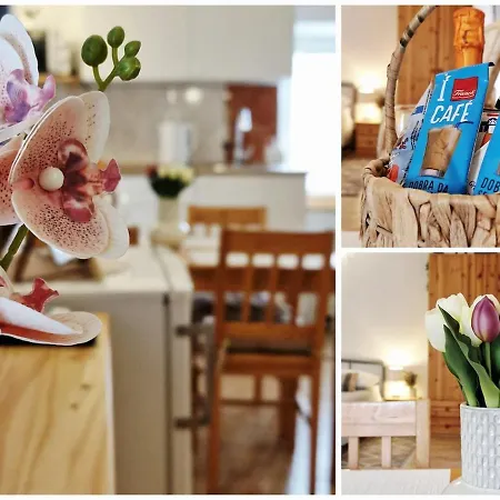 Apartman In The Centre Of